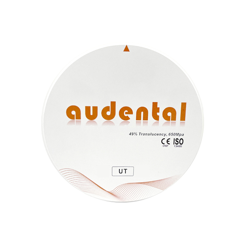 Disposable Dental Irrigation Needles for Root Canal Disinfection with Dental Zirconia Block and Calcium Hydroxide Paste