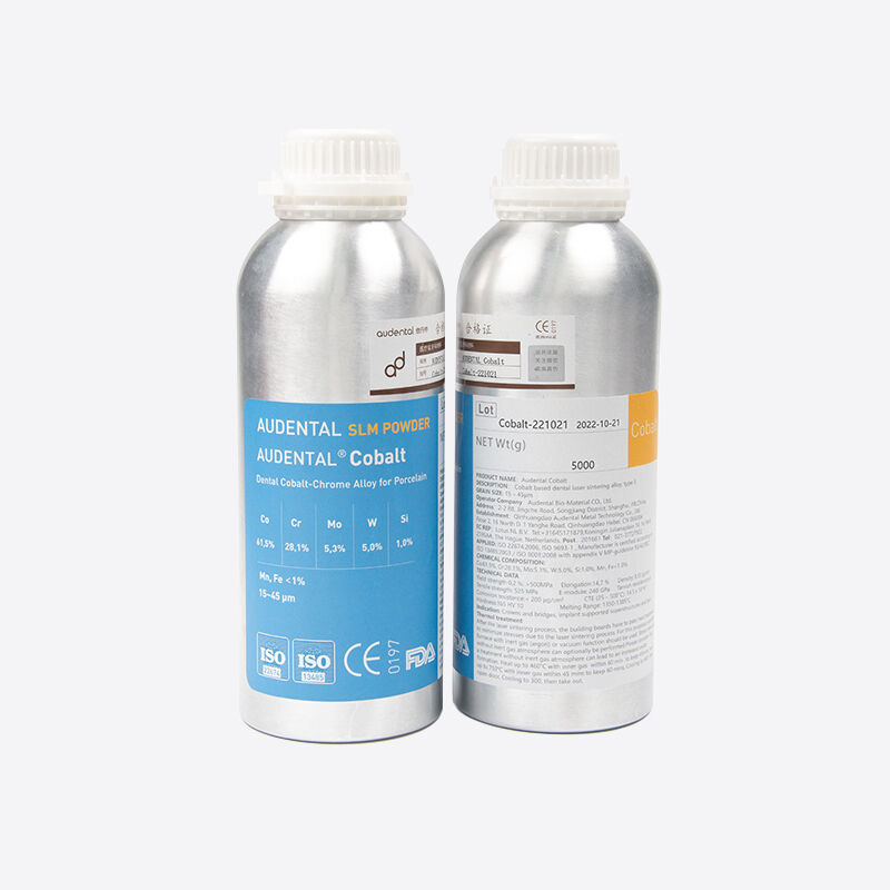 Dental 3D Metal Print Services Supporting Production of Metal Dental Components for Restorative and Surgical Applications